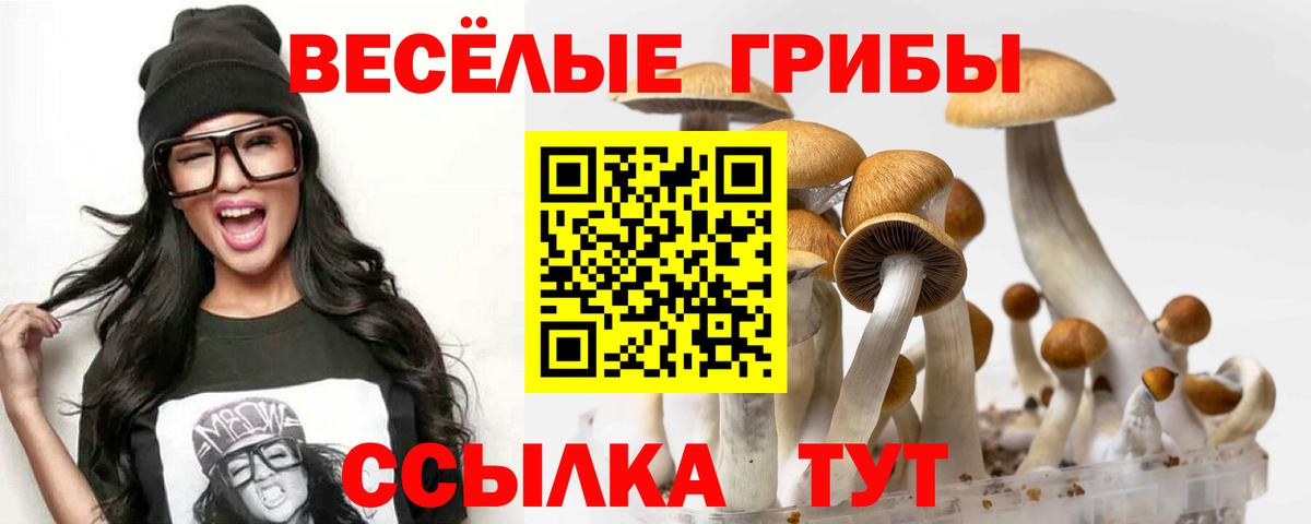 Псилоцибиновые грибы ЛСД Бахчисарай